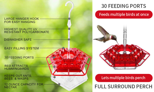 Humming Bird Feeder