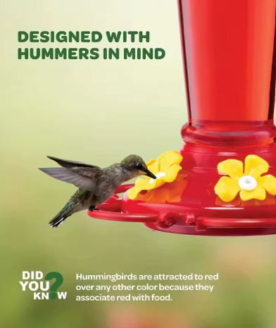 Hummingbird Feeder with Natural Flower Ports