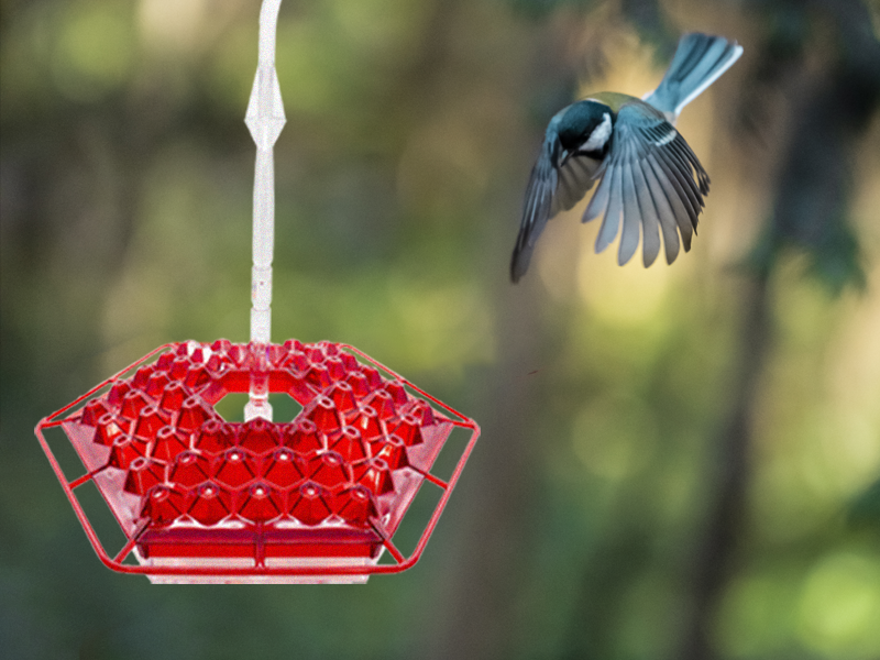 Humming Bird Feeder