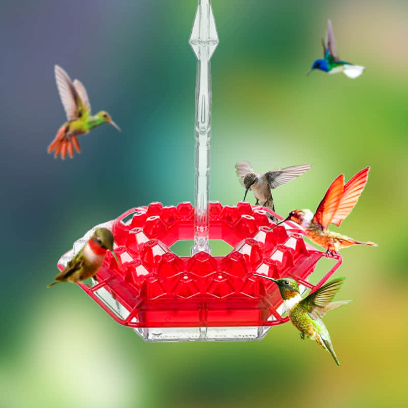 Humming Bird Feeder