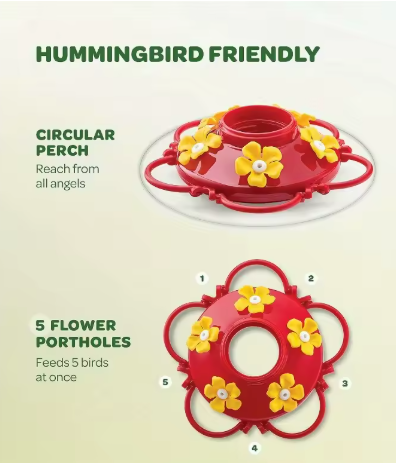 Hummingbird Feeder with Natural Flower Ports