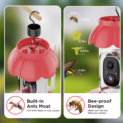Humming Bird Camera Feeder