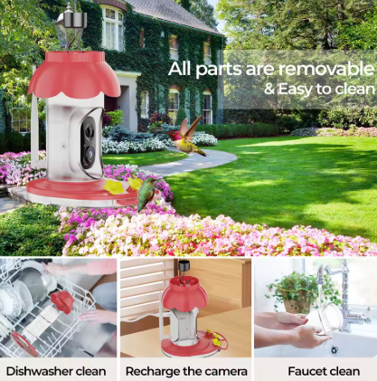 Humming Bird Camera Feeder